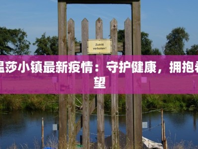 温莎小镇最新疫情：守护健康，拥抱希望