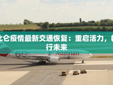 北仑疫情最新交通恢复：重启活力，畅行未来