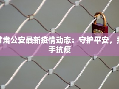 甘肃公安最新疫情动态：守护平安，携手抗疫