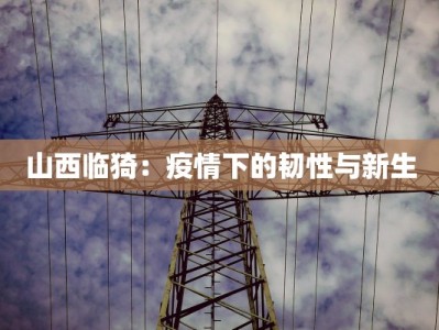 山西临猗：疫情下的韧性与新生