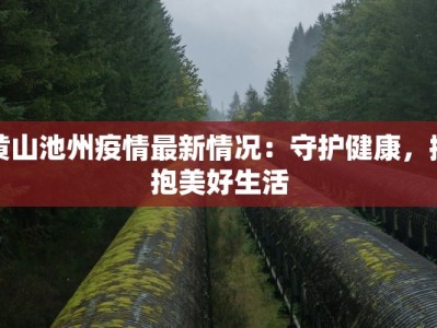 黄山池州疫情最新情况：守护健康，拥抱美好生活