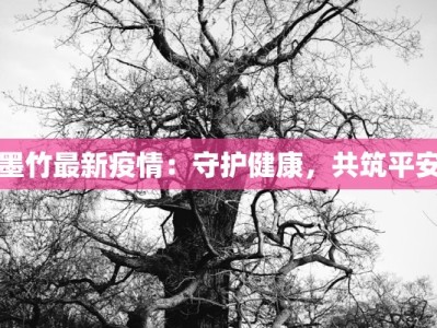 疫情延安最新信息：守护健康，安心前行