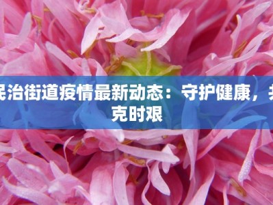 宝蓝最新疫情消息