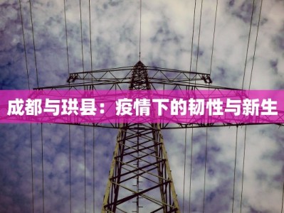 成都与珙县：疫情下的韧性与新生