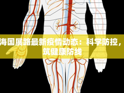 上海国展路最新疫情动态：科学防控，共筑健康防线