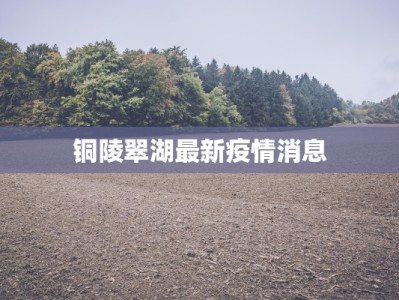 铜陵翠湖最新疫情消息