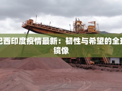 巴西印度疫情最新：韧性与希望的全球镜像