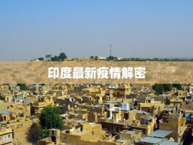 印度最新疫情解密