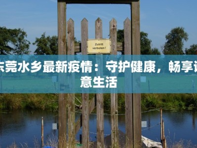 东莞水乡最新疫情：守护健康，畅享诗意生活