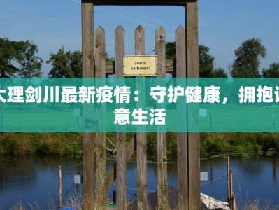 大理剑川最新疫情：守护健康，拥抱诗意生活