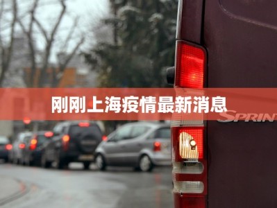 刚刚上海疫情最新消息