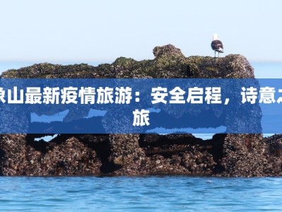 象山最新疫情旅游：安全启程，诗意之旅