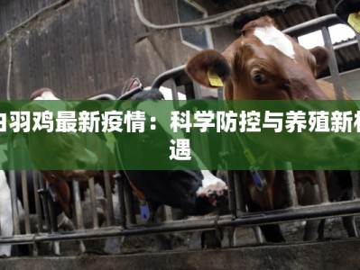 威海疫情现况最新消息