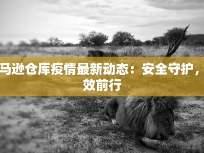 亚马逊仓库疫情最新动态：安全守护，高效前行