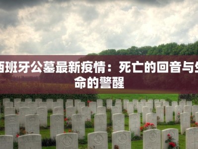西班牙公墓最新疫情：死亡的回音与生命的警醒