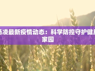 杨凌最新疫情动态：科学防控守护健康家园