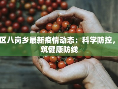 港区八岗乡最新疫情动态：科学防控，共筑健康防线