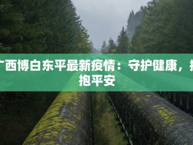 广西博白东平最新疫情：守护健康，拥抱平安