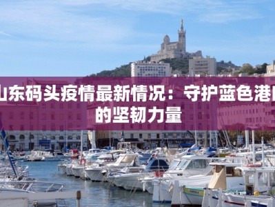 山东码头疫情最新情况：守护蓝色港口的坚韧力量