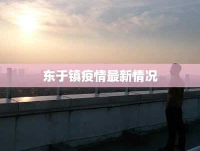东于镇疫情最新情况