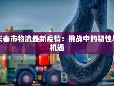 长春市物流最新疫情：挑战中的韧性与机遇