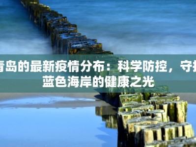 青岛的最新疫情分布：科学防控，守护蓝色海岸的健康之光