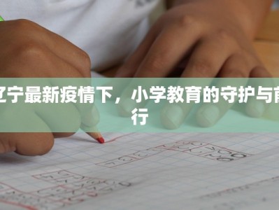 辽宁最新疫情下，小学教育的守护与前行