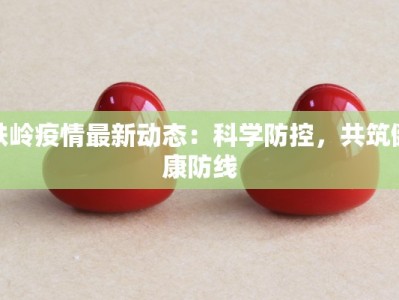 铁岭疫情最新动态：科学防控，共筑健康防线