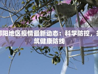 邵阳地区疫情最新动态：科学防控，共筑健康防线