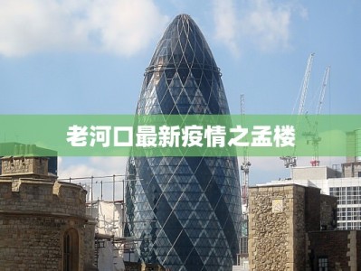 老河口最新疫情之孟楼