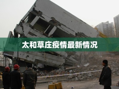 太和草庄疫情最新情况