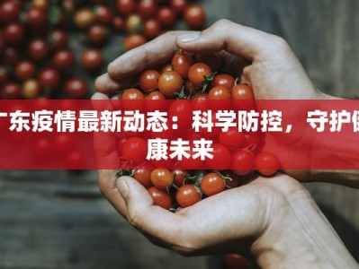广东疫情最新动态：科学防控，守护健康未来