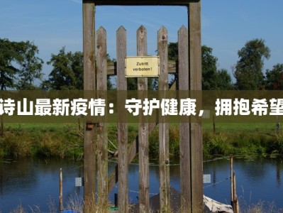 诗山最新疫情：守护健康，拥抱希望