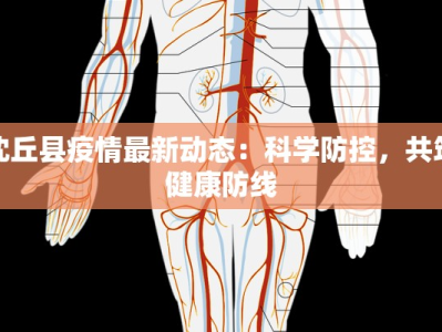 沈丘县疫情最新动态：科学防控，共筑健康防线