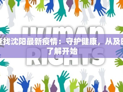 查找沈阳最新疫情：守护健康，从及时了解开始