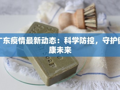 广东疫情最新动态：科学防控，守护健康未来