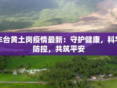 丰台黄土岗疫情最新：守护健康，科学防控，共筑平安