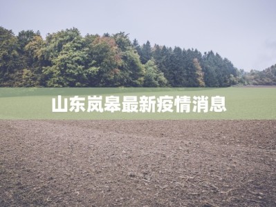 疫情最新报道湖南：守护家园的温暖力量