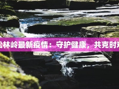 松林岭最新疫情：守护健康，共克时艰
