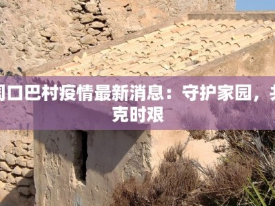 周口巴村疫情最新消息：守护家园，共克时艰