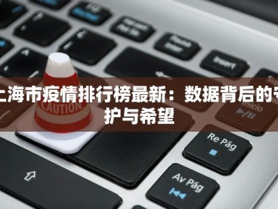 上海市疫情排行榜最新：数据背后的守护与希望
