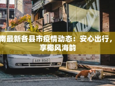 海南最新各县市疫情动态：安心出行，乐享椰风海韵