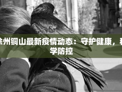 徐州铜山最新疫情动态：守护健康，科学防控
