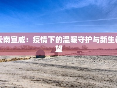 郑州的疫情咋样呀最新