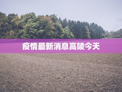 疫情最新消息高陵今天