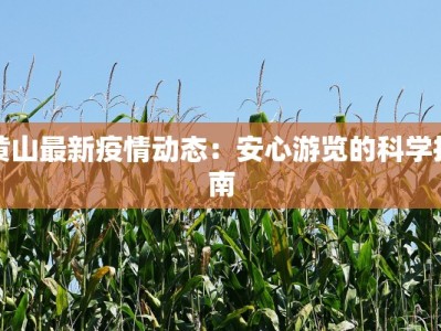 黄山最新疫情动态：安心游览的科学指南