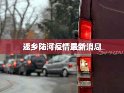 返乡陆河疫情最新消息