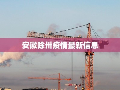 安徽除卅疫情最新信息