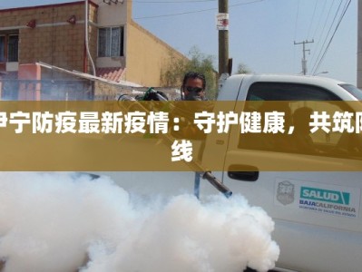 卢靖县最新消息疫情：守护家园，科学防控，共克时艰