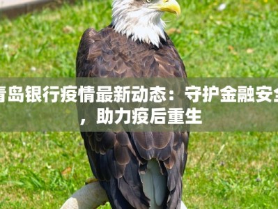 吉林马关最新疫情：守护健康，科学防控，共筑安全屏障